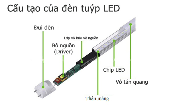 Cấu tạo của bóng đèn tuýp 1m2